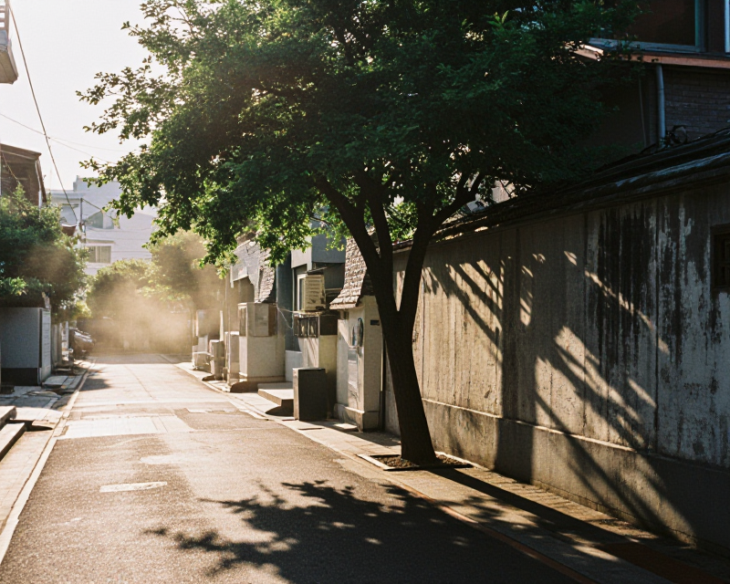 Heatwave in Korean Urban Setting